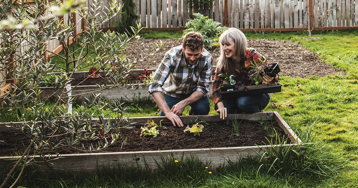 Quick Tips For Raised Bed Planting Blogs Beyond Peat